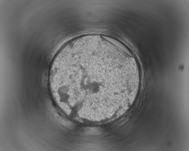 X0000114650107200912011121