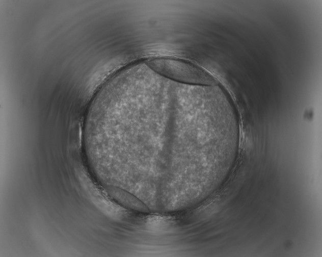 X0000114650109200912011121