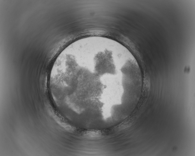 X0000114650110200912011121