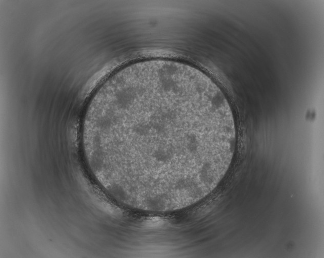 X0000114650111200912011121