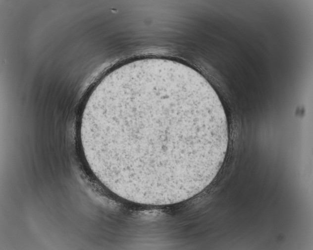 X0000114650112200912011121