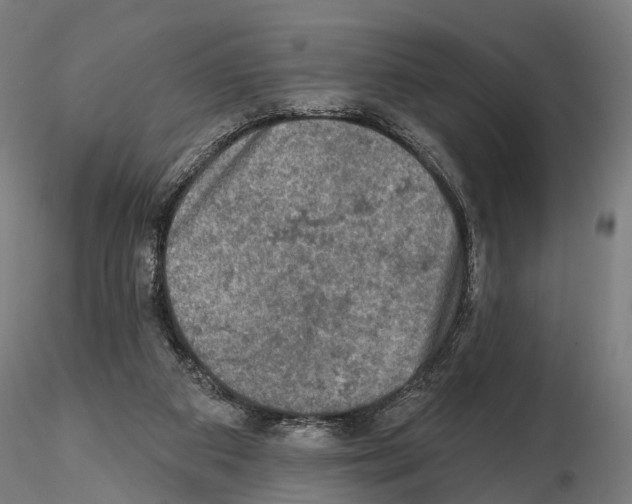 X0000114650113200912011121