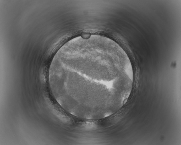 X0000114650114200912011121