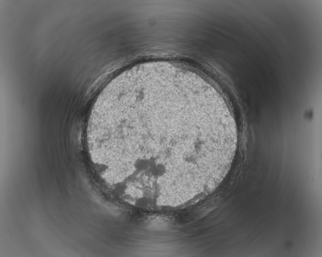 X0000114650115200912011121