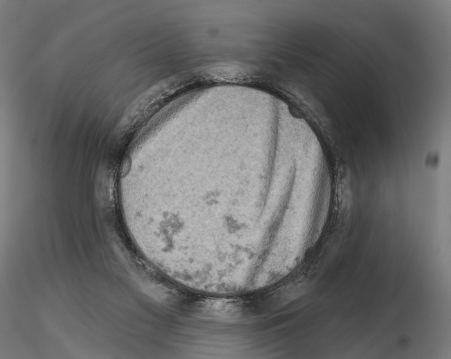 X0000114650117200912011121