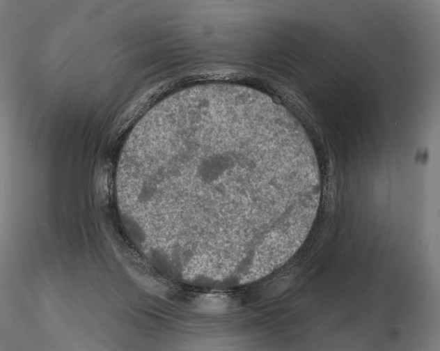 X0000114650119200912011121