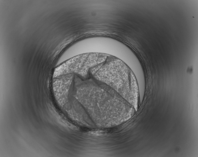 X0000114650120200912011121