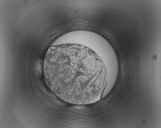 X0000114650121200912011121