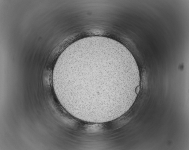 X0000114650122200912011121