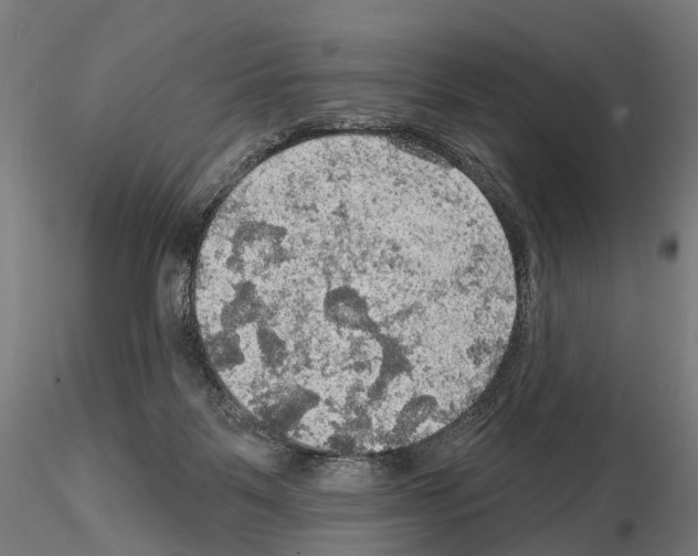 X0000114650123200912011121