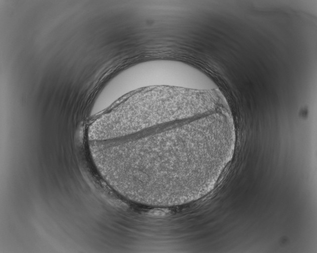 X0000114650124200912011121