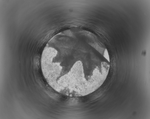 X0000114650127200912011121