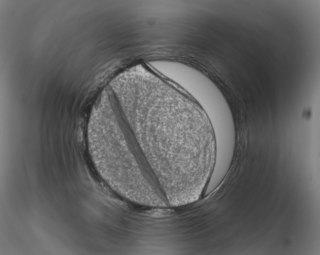 X0000114650128200912011121