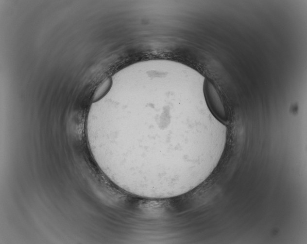 X0000114650129200912011121