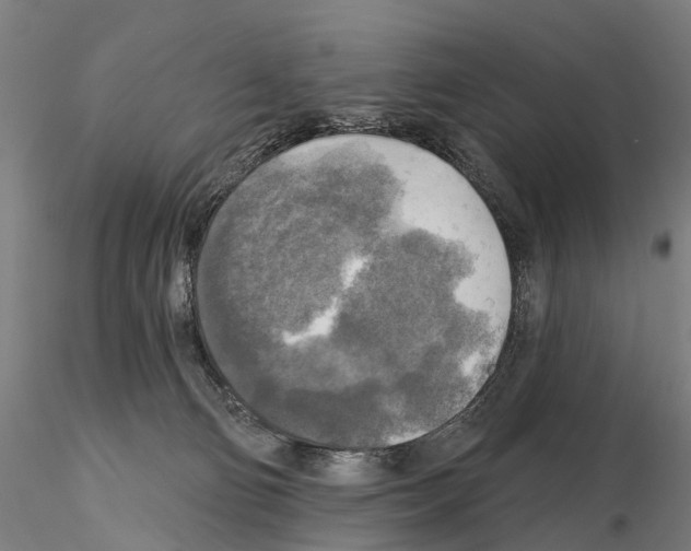 X0000114650130200912011121