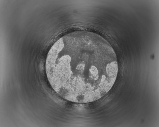 X0000114650131200912011121