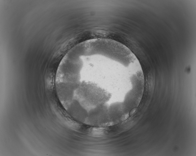 X0000114650134200912011121