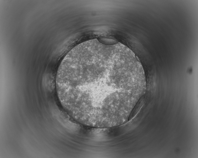 X0000114650136200912011121