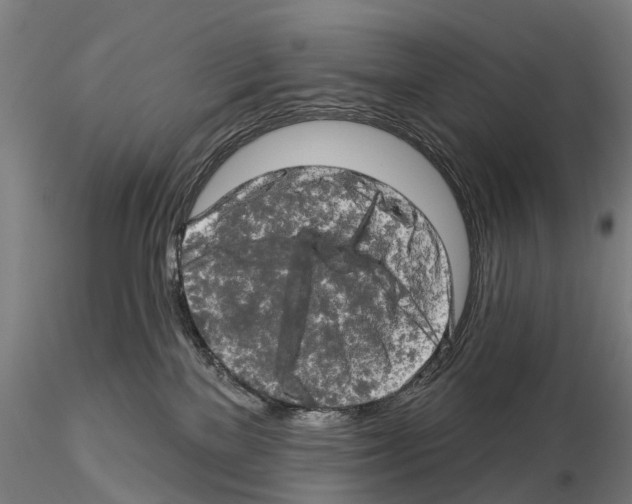 X0000114650137200912011121