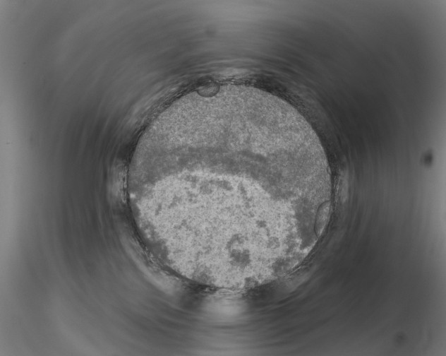 X0000114650138200912011121