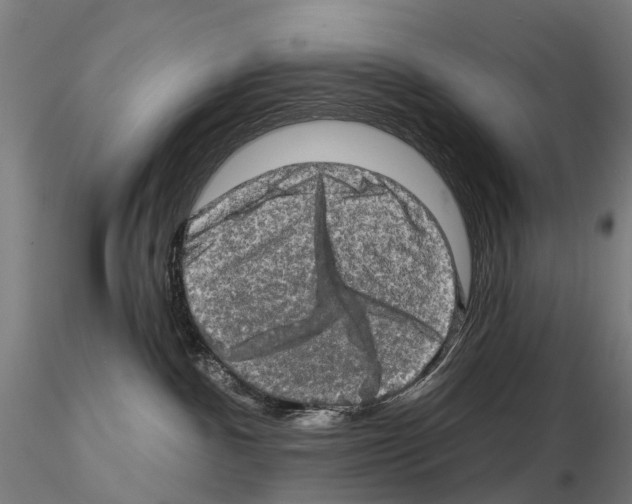 X0000114650140200912011121