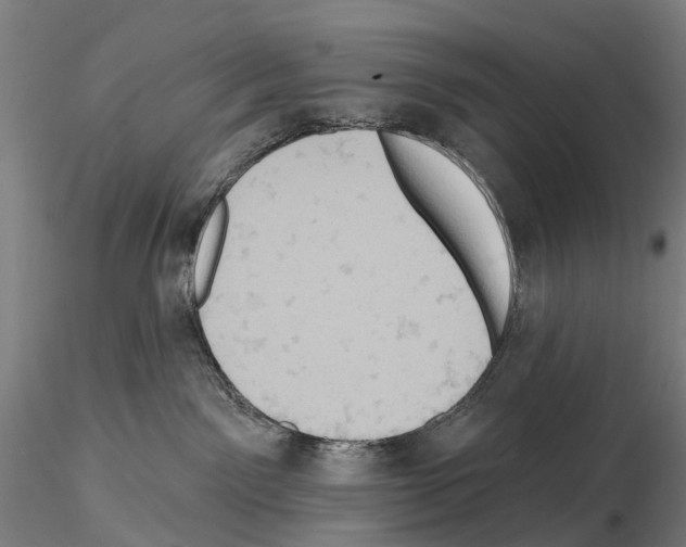 X0000114650141200912011121