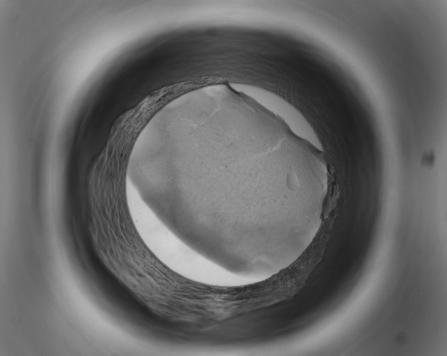 X0000114650143200912011121