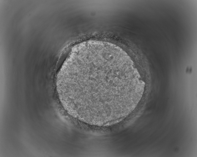 X0000114650144200912011121