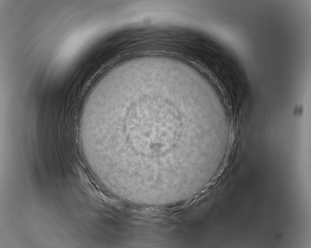 X0000114650146200912011120