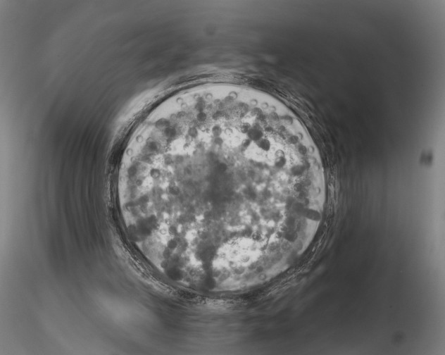 X0000114650149200912011120