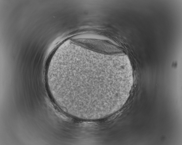 X0000114650150200912011120