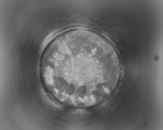 X0000114650151200912011120