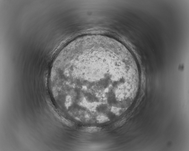 X0000114650153200912011120