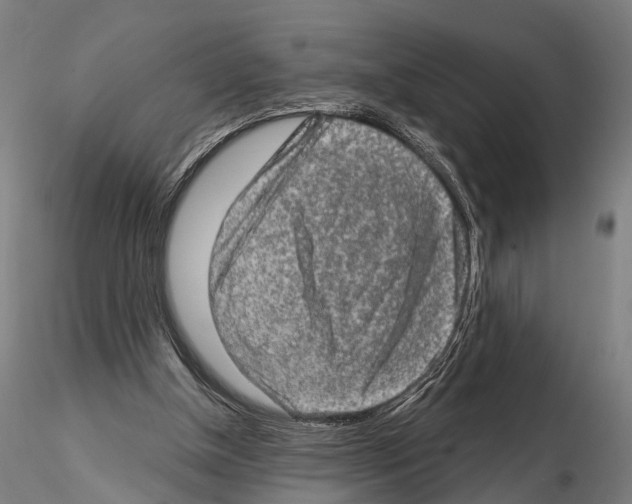 X0000114650154200912011120