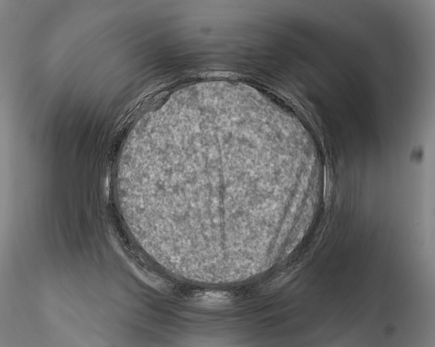 X0000114650157200912011120