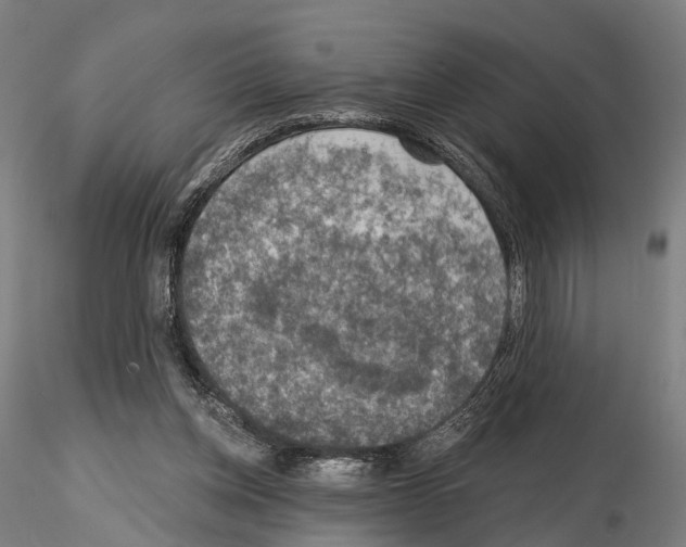 X0000114650158200912011120