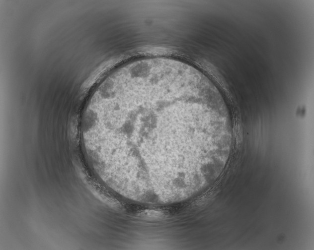 X0000114650159200912011120