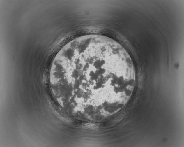 X0000114650161200912011120