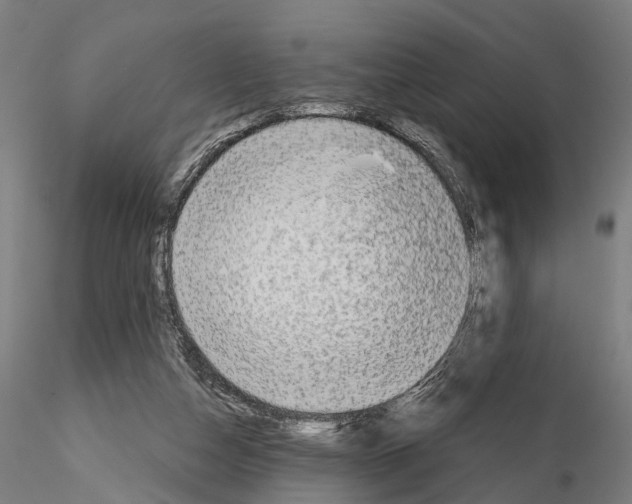 X0000114650162200912011120