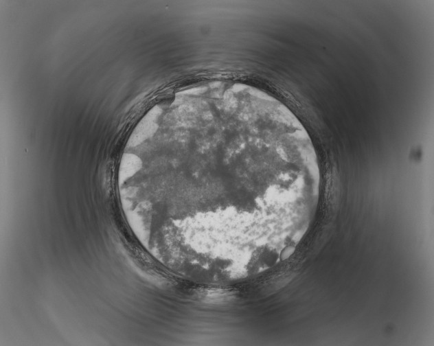 X0000114650165200912011120