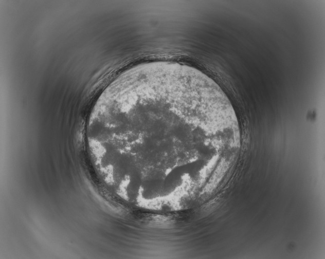 X0000114650166200912011120