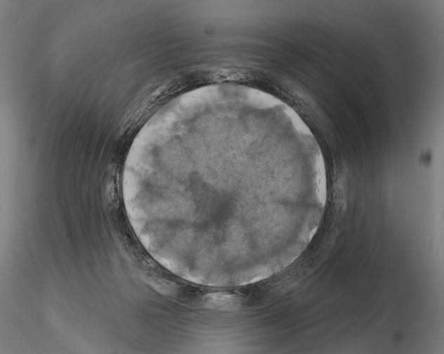 X0000114650169200912011120