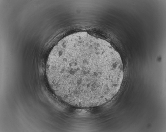 X0000114650170200912011120