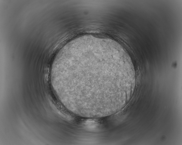 X0000114650171200912011120