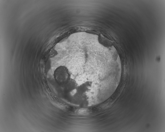 X0000114650173200912011120