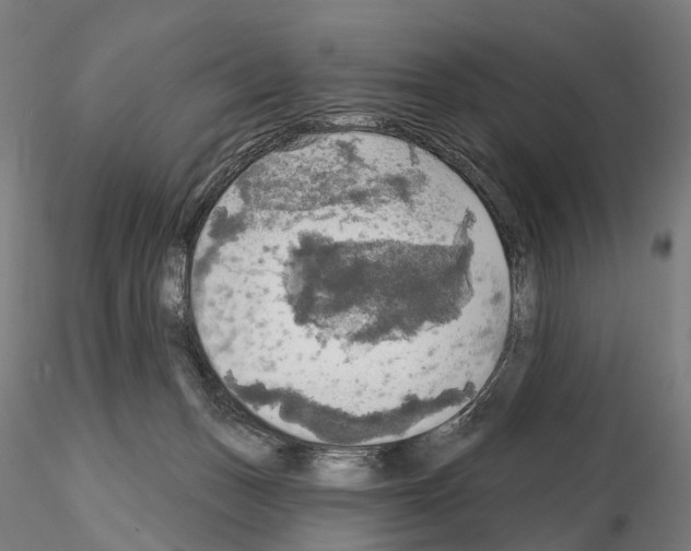 X0000114650175200912011120