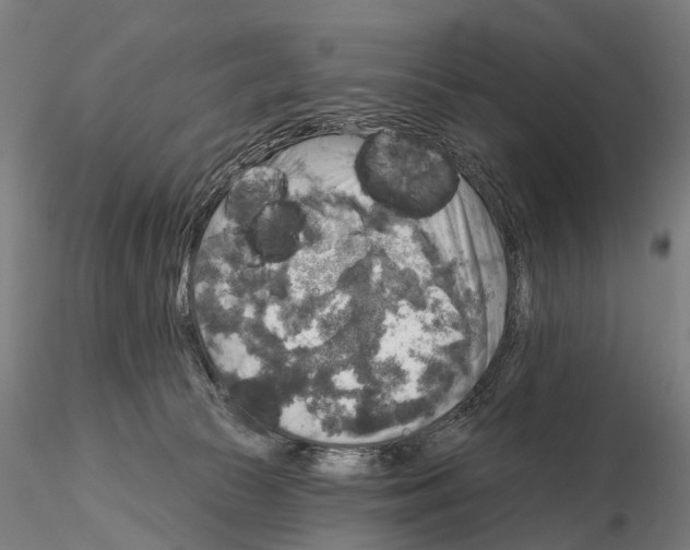 X0000114650177200912011120