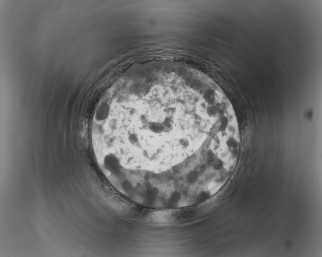 X0000114650178200912011120