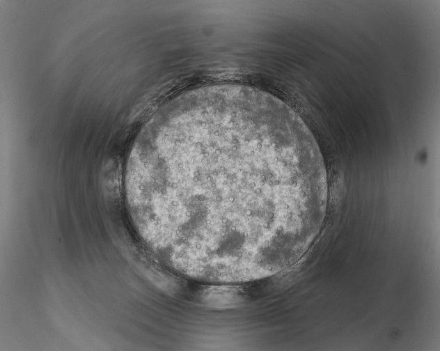 X0000114650179200912011120