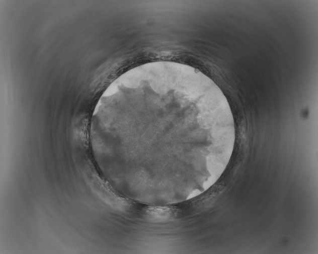 X0000114650181200912011120